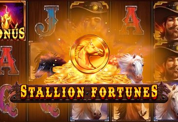 Stallion Fortunes